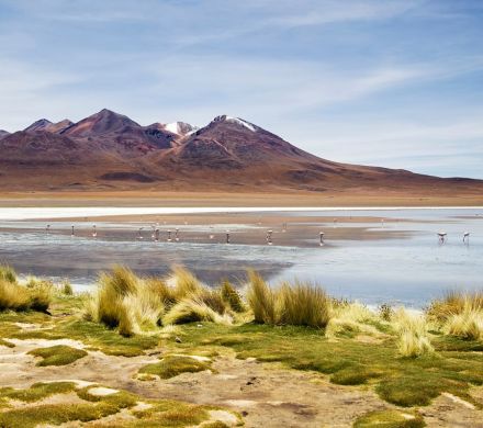 Laguna Colorada