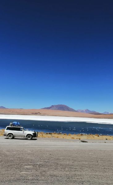 Tour Uyuni Salt Flat (1 Day)